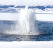 Winter Scepter